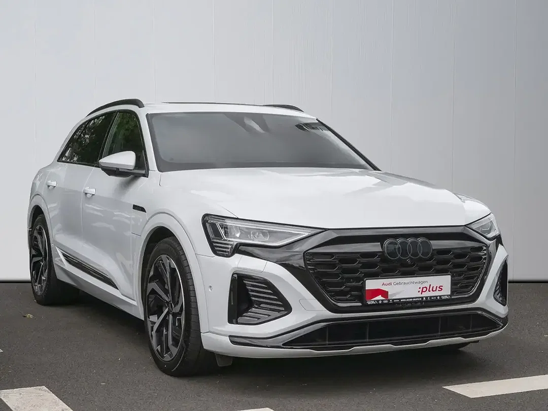 Audi Q8 e-tron 55 quattro Matrix LED S line - Afbeelding 1
