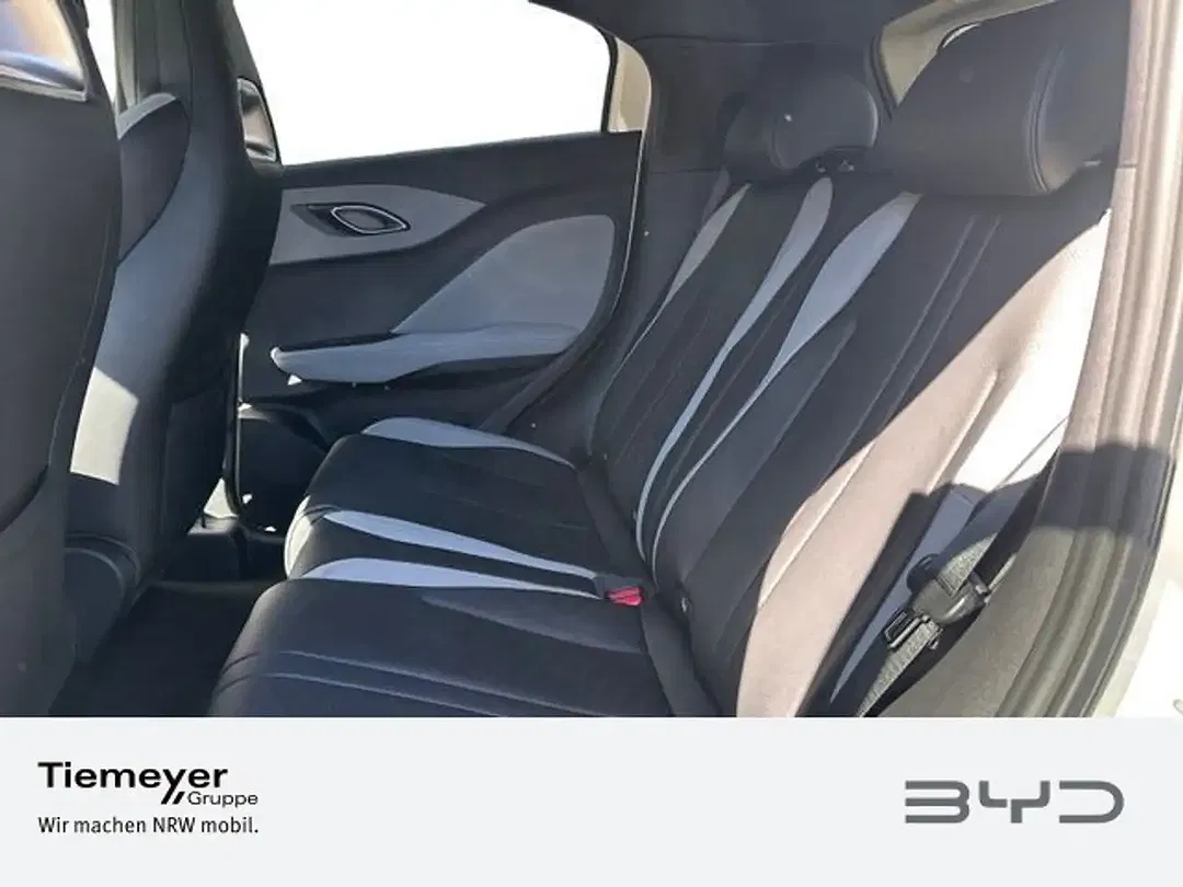 BYD Dolphin Surf Comfort - Thumbnail 10
