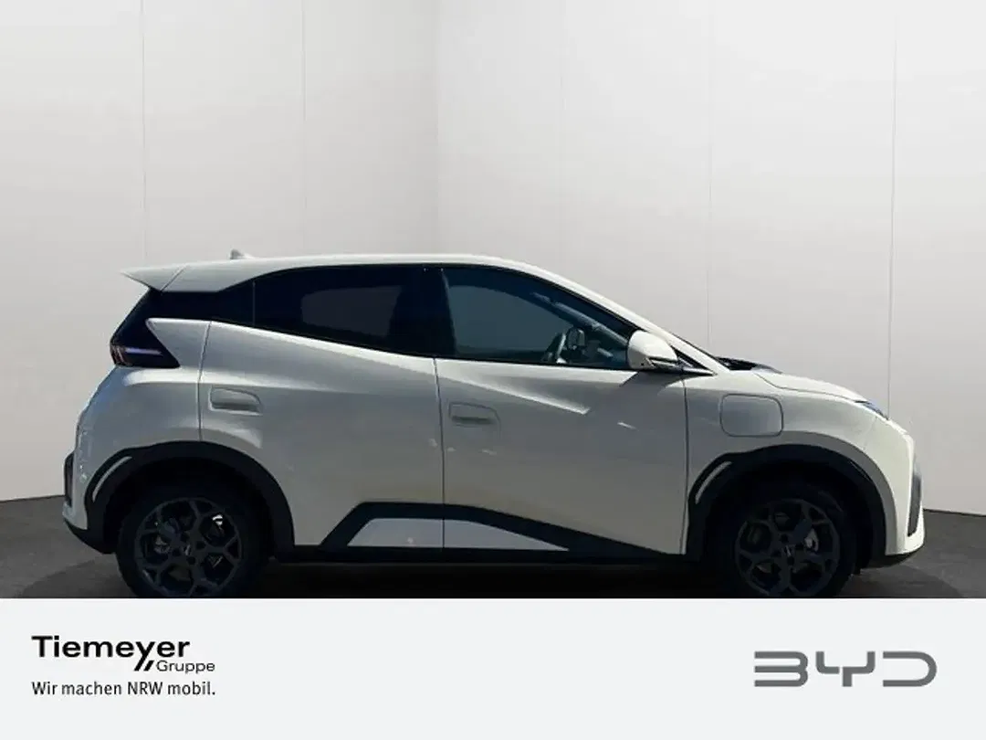 BYD Dolphin Surf Comfort - Thumbnail 3