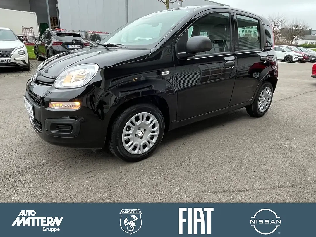 Fiat Panda Icon - Afbeelding 1
