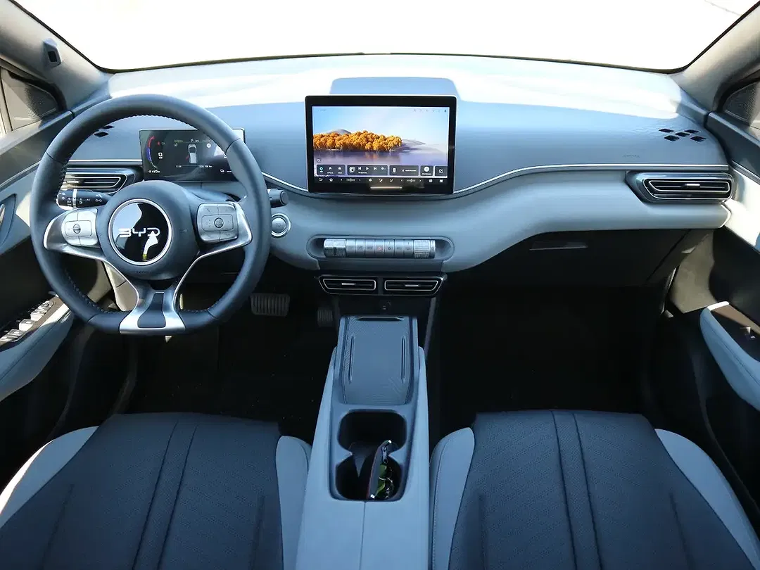 BYD Dolphin Surf Comfort - Thumbnail 19