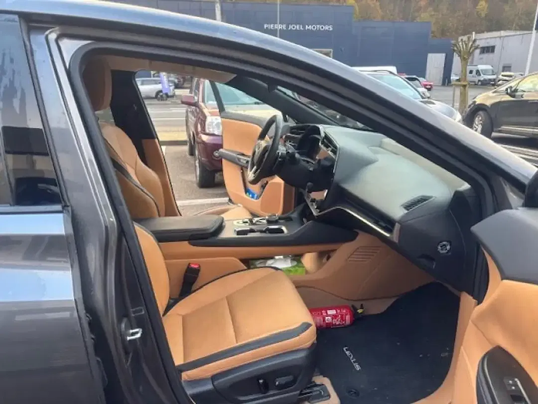 Lexus RZ Executive Line - Thumbnail 11