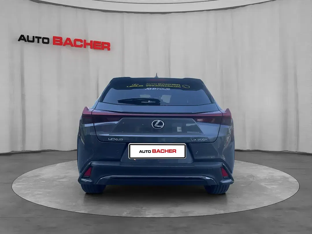 Lexus UX 300h F SPORT Design - Thumbnail 4