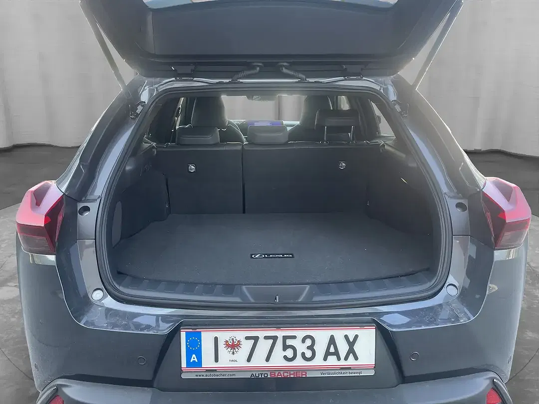 Lexus UX 300h F SPORT Design - Thumbnail 5