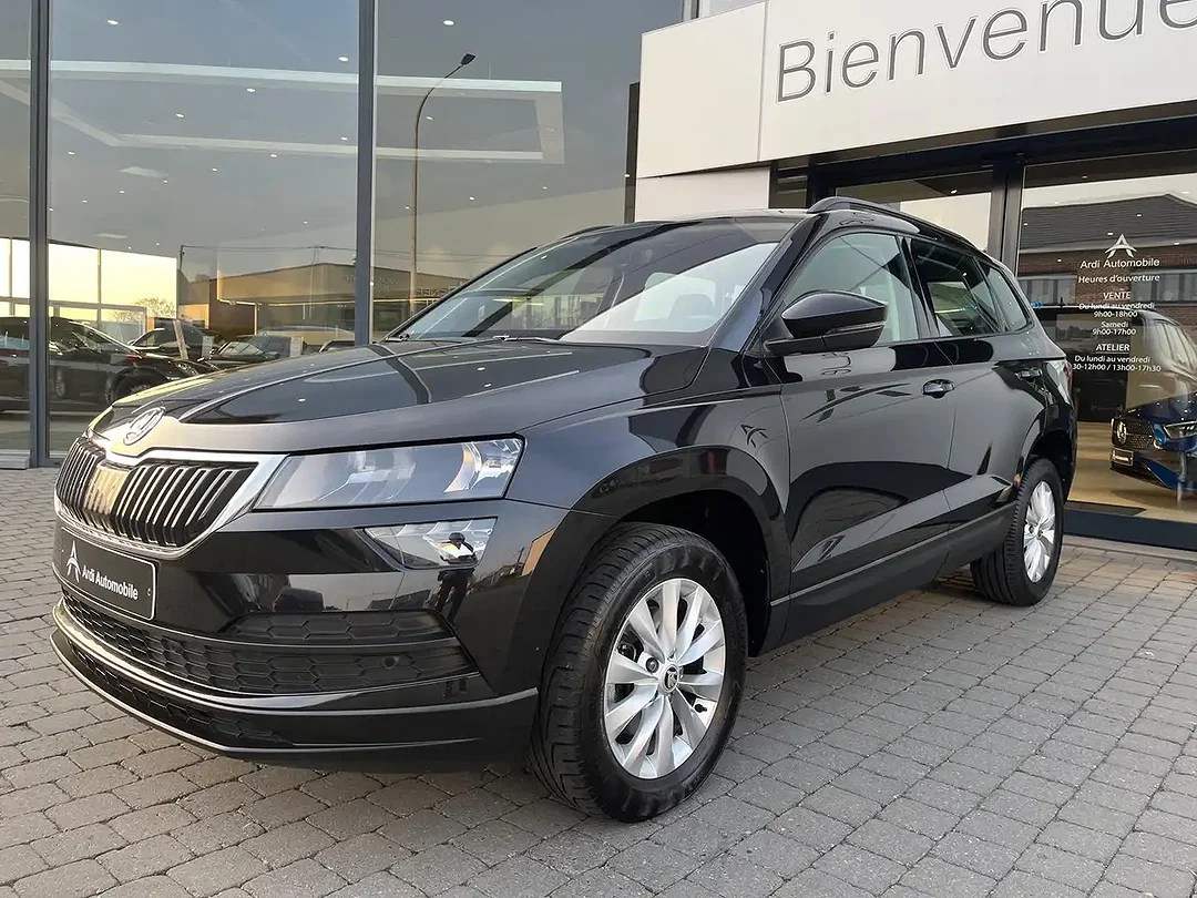 Skoda Karoq 2.0 TDI DSG - Afbeelding 1
