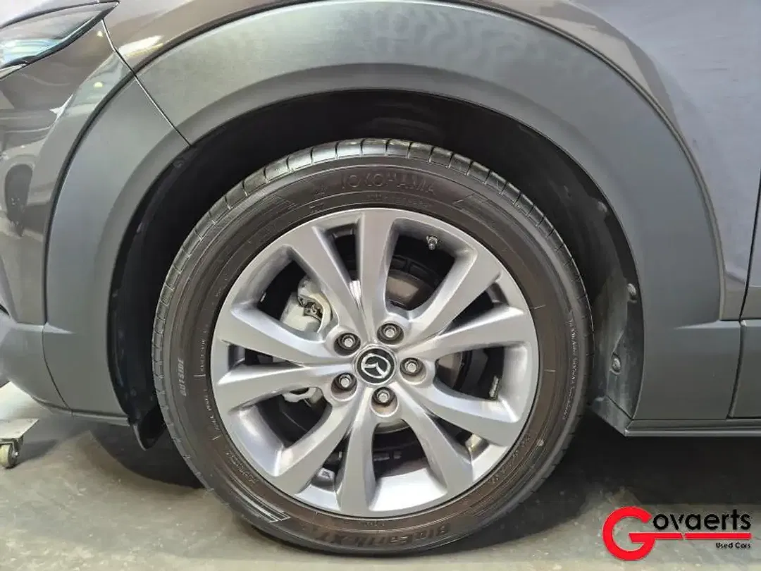 Mazda CX-30 2.0 e-SKYACTIV - Thumbnail 33