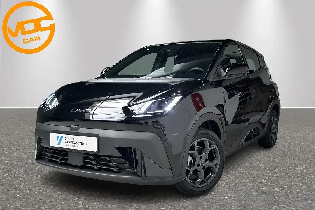 BYD Dolphin Surf - foto 1