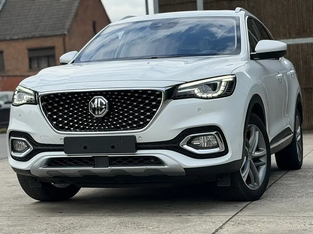 MG EHS - foto 1