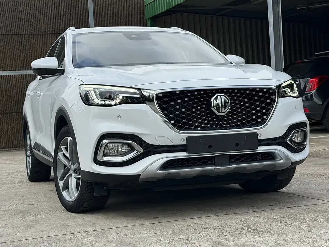 MG EHS - foto 2