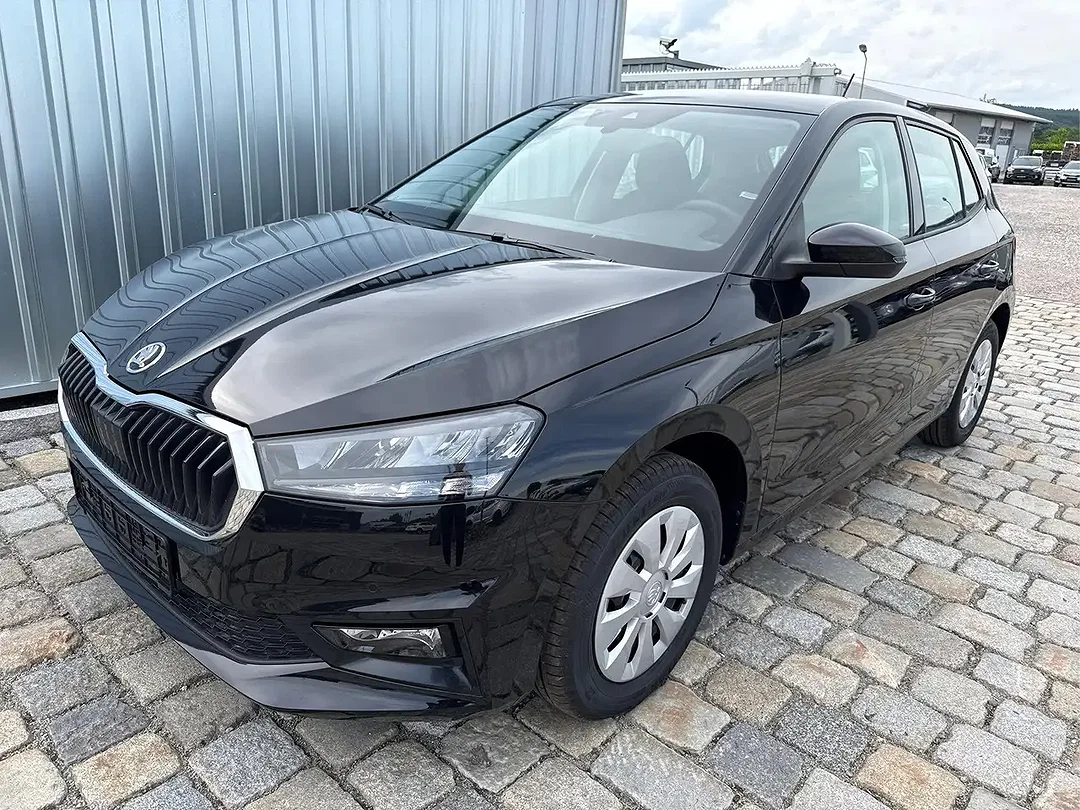 Skoda Fabia 1.0 TSI DSG Selection - Afbeelding 1
