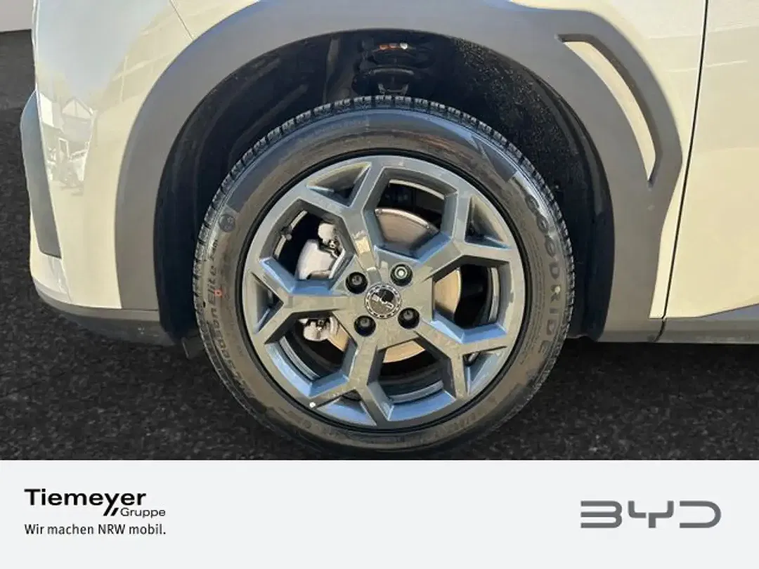 BYD Dolphin Surf Comfort - Thumbnail 8