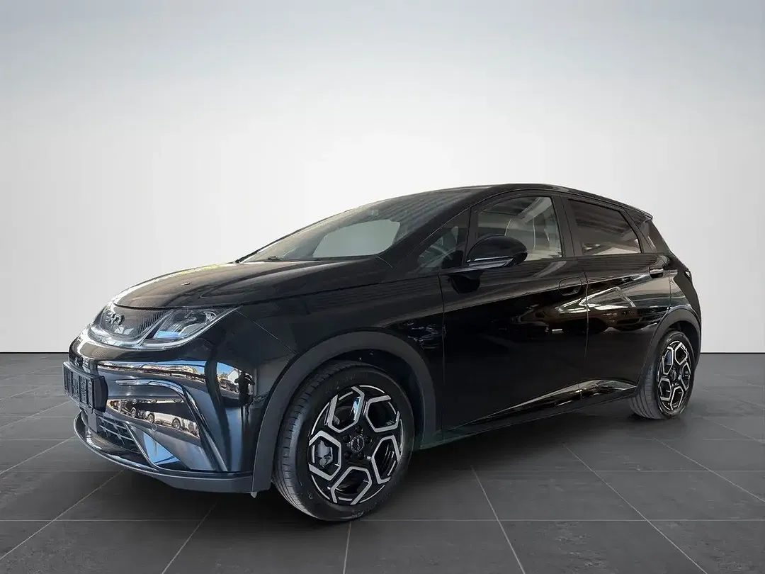 BYD Dolphin Design - foto 1