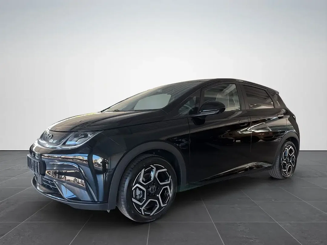 BYD Dolphin Design - Afbeelding 1