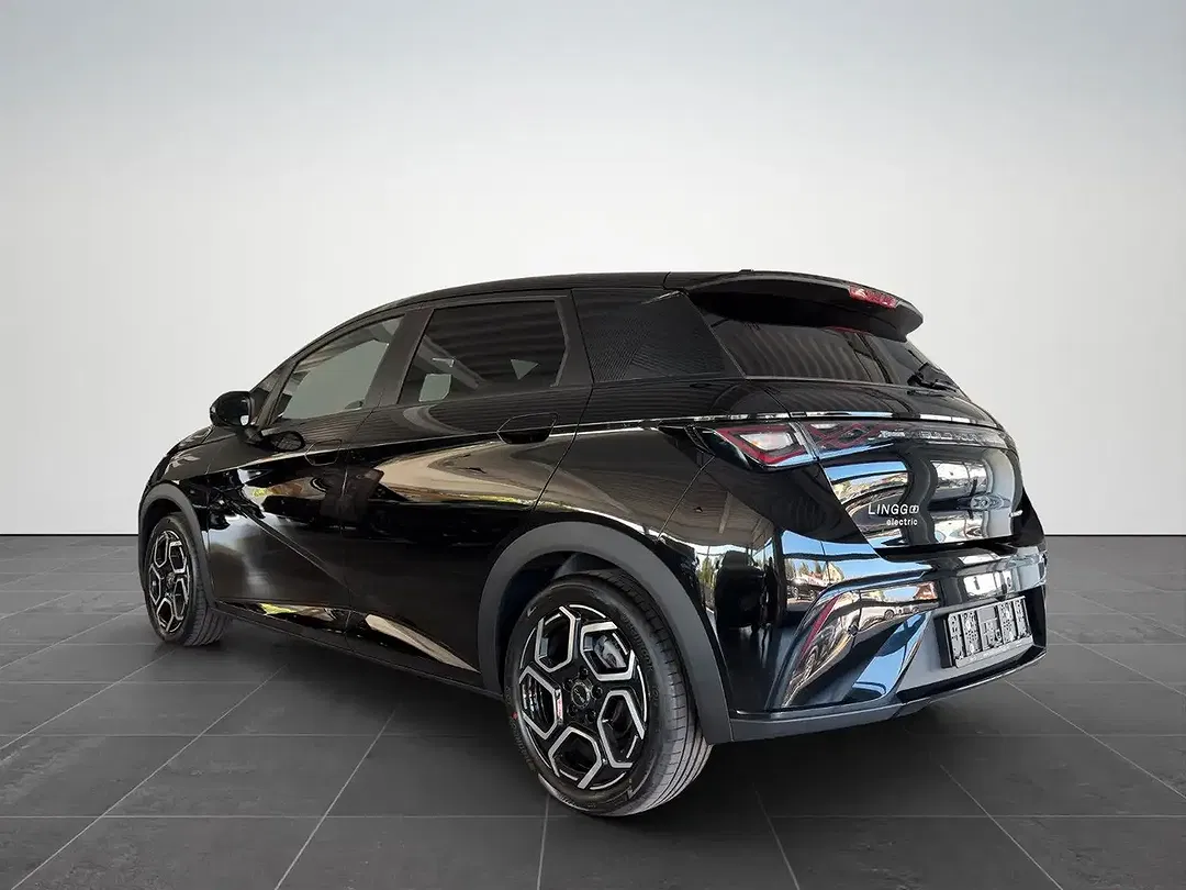 BYD Dolphin Design - Thumbnail 5
