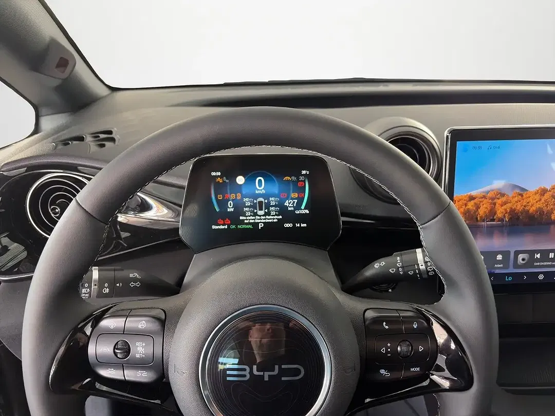 BYD Dolphin Design - Thumbnail 7
