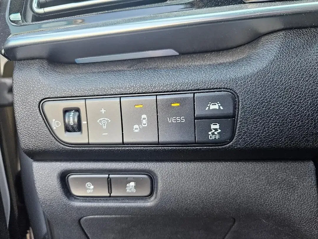 Kia e-Niro 64 kWh EV Gold - Thumbnail 11