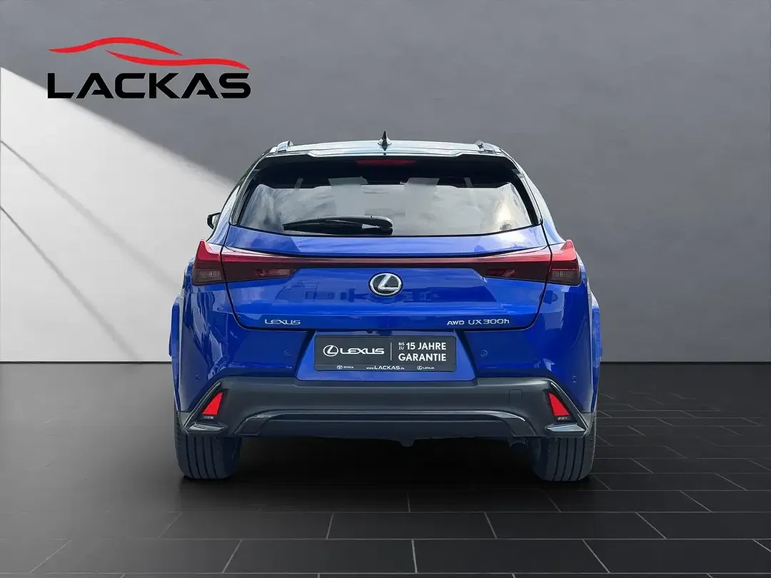 Lexus UX 250h 300h E-FOUR F SPORT - Thumbnail 4