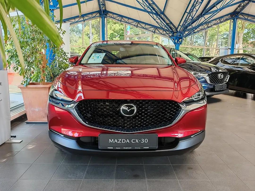 Mazda CX-30 2.5 e-SKYACTIV 6AT Takumi - foto 2