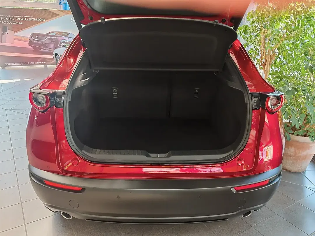 Mazda CX-30 2.5 e-SKYACTIV 6AT Takumi - Thumbnail 7