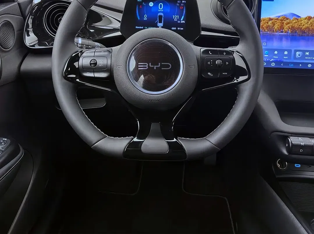 BYD Dolphin Comfort - Thumbnail 12