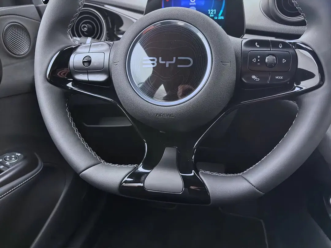 BYD Dolphin Comfort - Thumbnail 13