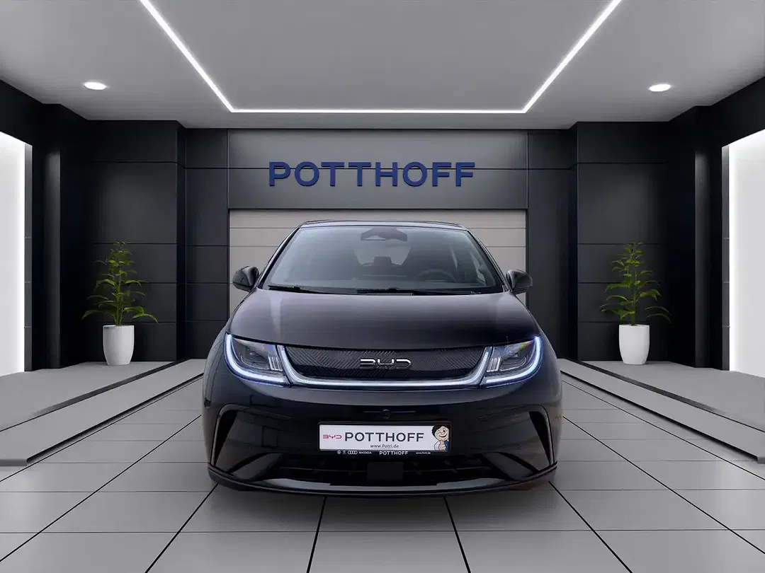 BYD Dolphin Comfort - Thumbnail 8