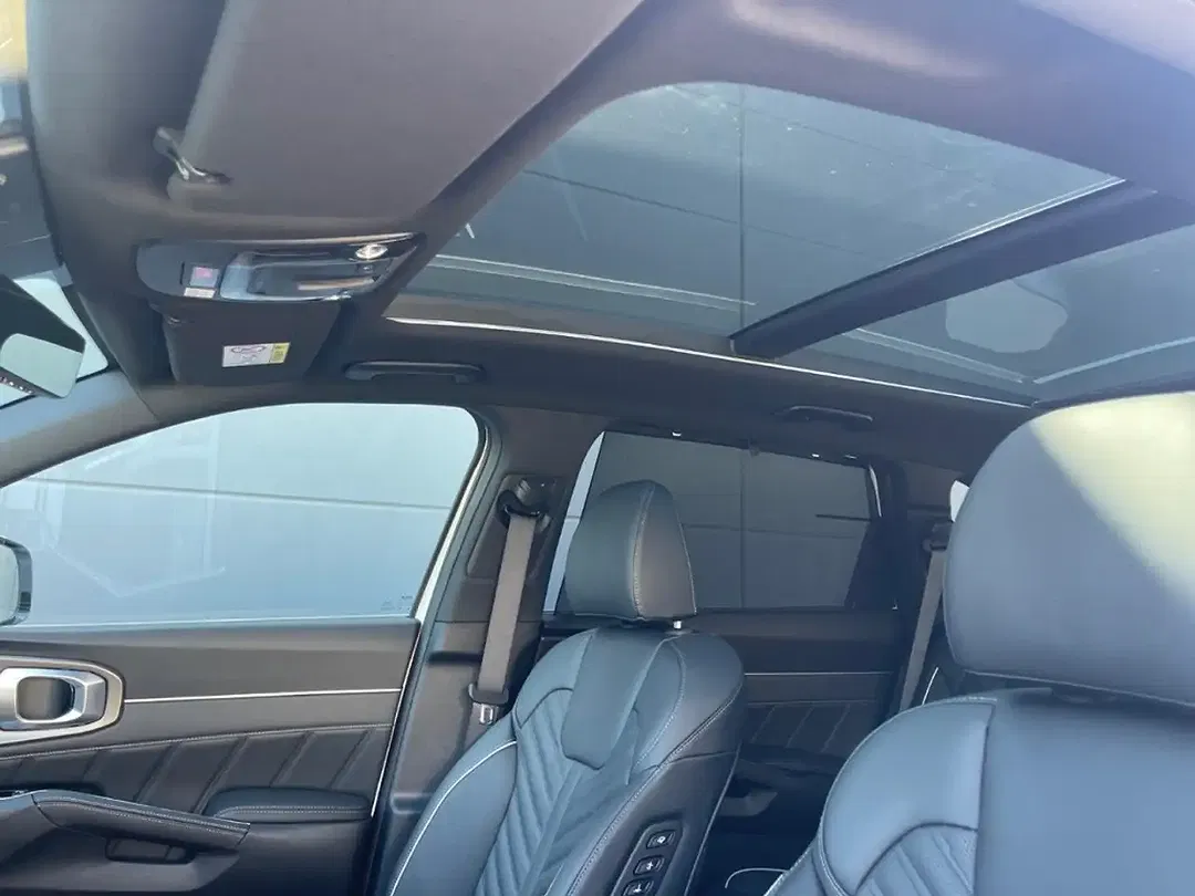 Kia Sorento 1.6 PHEV AWD Platinum Premium - foto 15