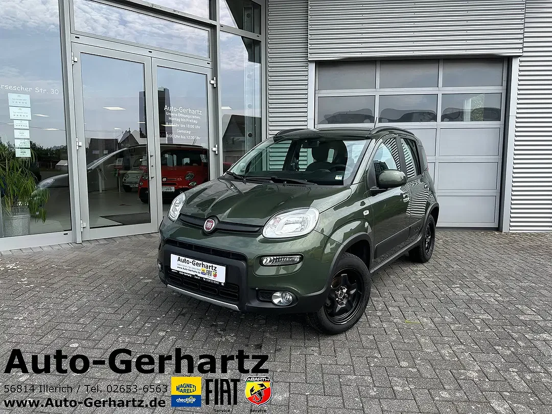 Fiat Panda 4x4 Wild - Afbeelding 1