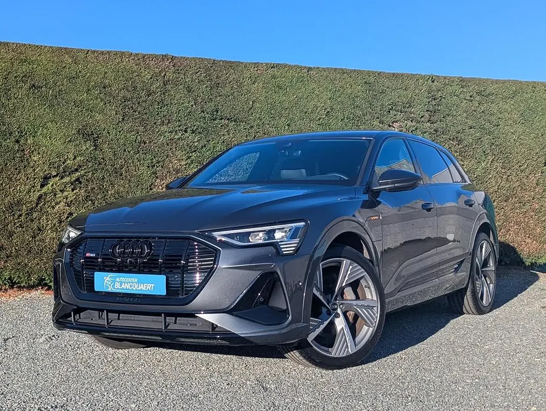 Audi Q8 e-tron S line - Afbeelding 1