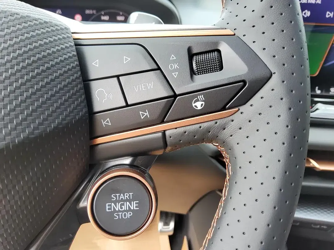 CUPRA Terramar TSI 4x4 Matrix LED VZ2 - foto 15