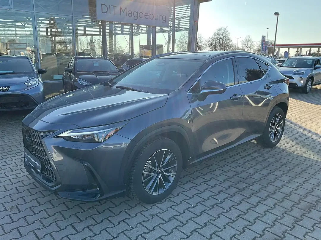 Lexus NX 350h Executive Line - Afbeelding 1
