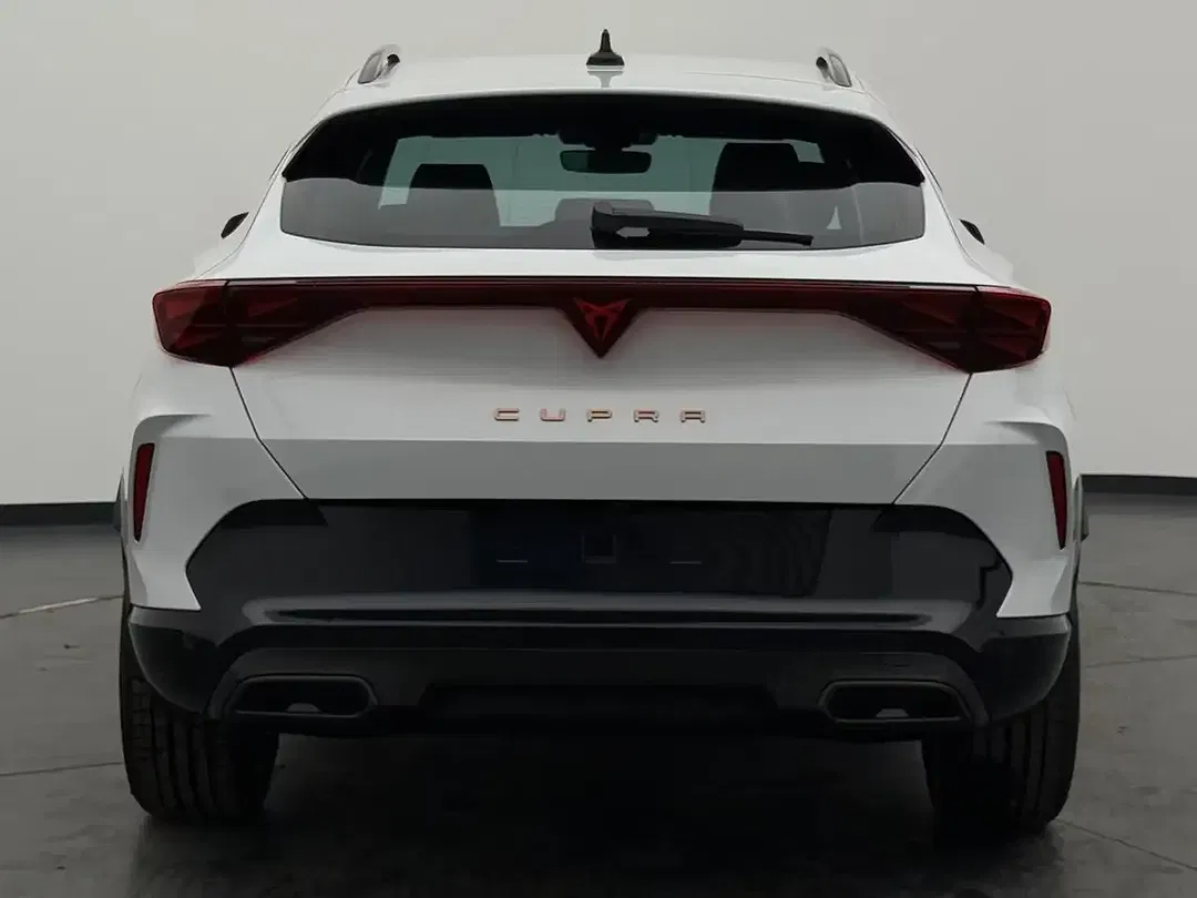 CUPRA Formentor 2.0 TSI 4Drive Matrix LED - Thumbnail 12