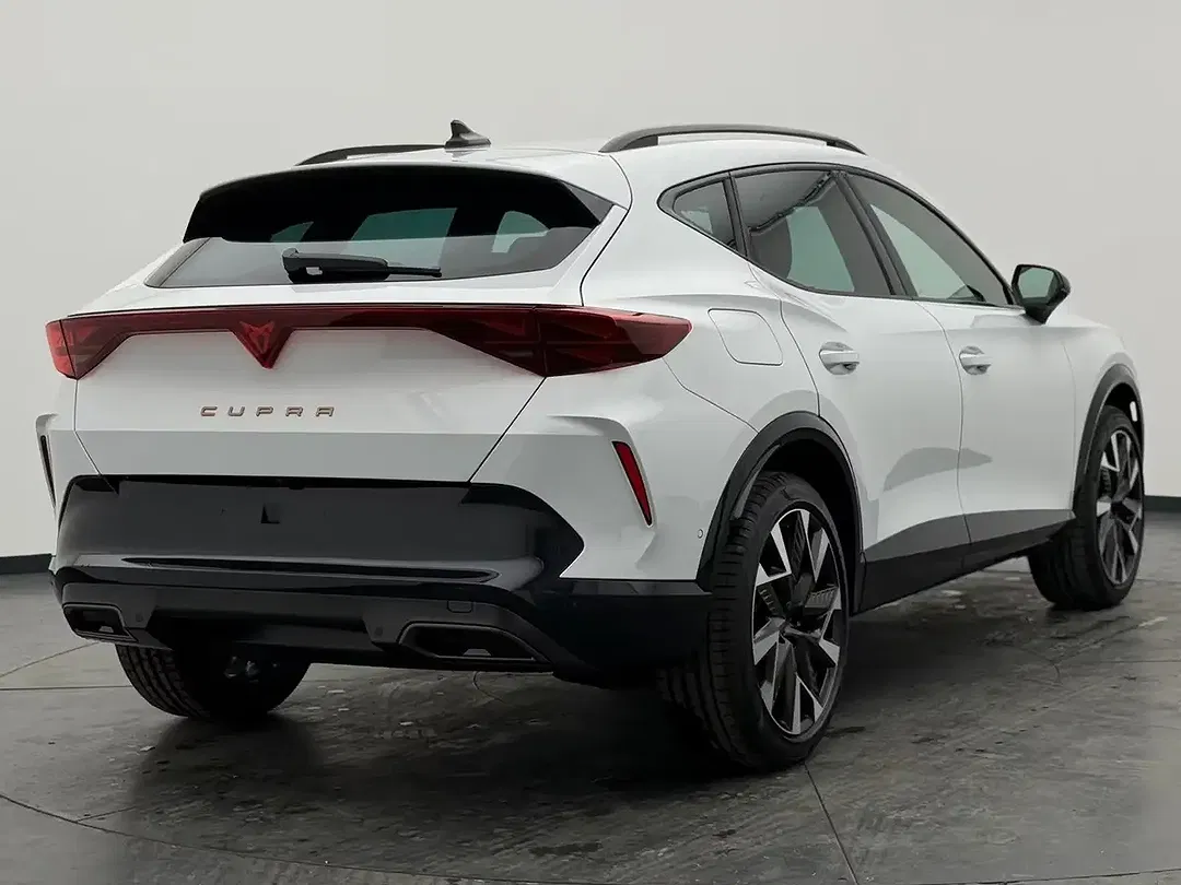 CUPRA Formentor 2.0 TSI 4Drive Matrix LED - Thumbnail 13
