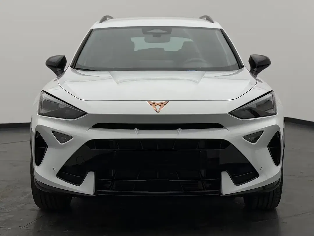 CUPRA Formentor 2.0 TSI 4Drive Matrix LED - Thumbnail 5