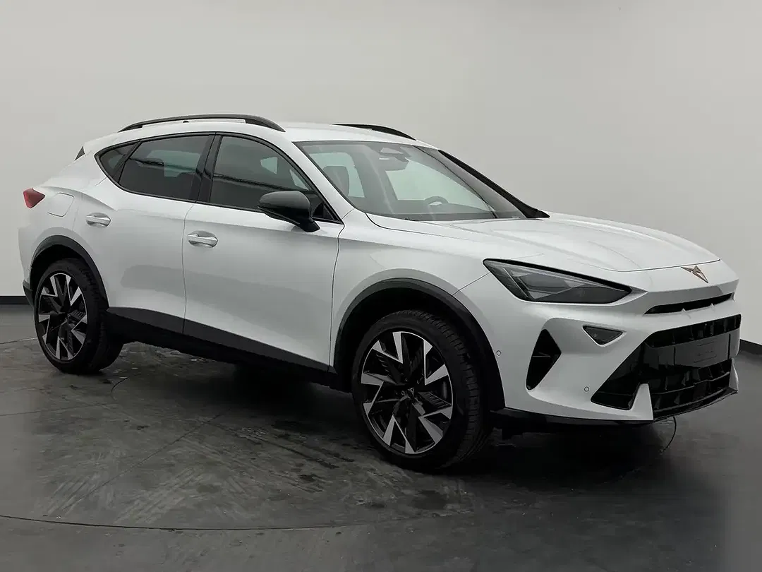 CUPRA Formentor 2.0 TSI 4Drive Matrix LED - Thumbnail 6