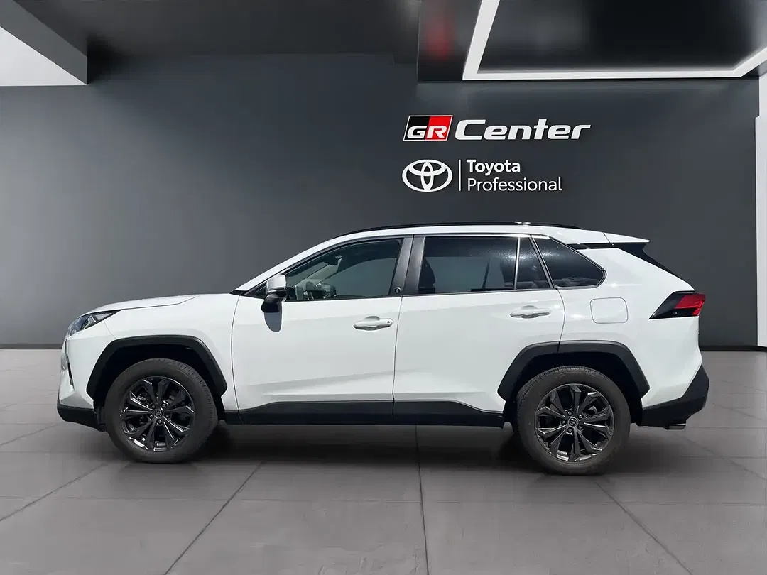 Toyota RAV 4 Hybrid Team Deutschland - Thumbnail 10