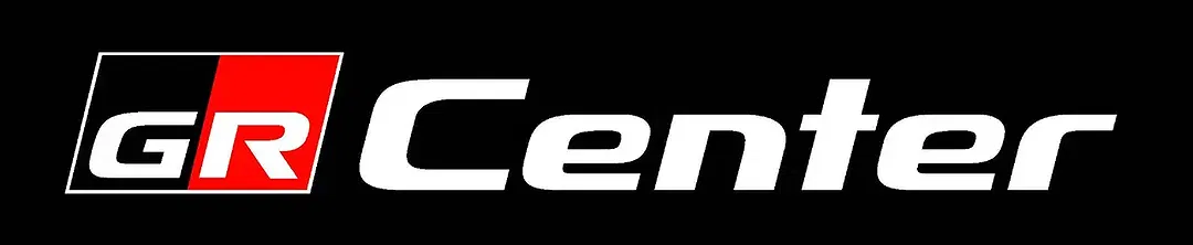 Toyota RAV 4 Hybrid Team Deutschland - Thumbnail 11