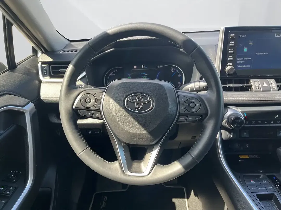 Toyota RAV 4 Hybrid Team Deutschland - foto 15