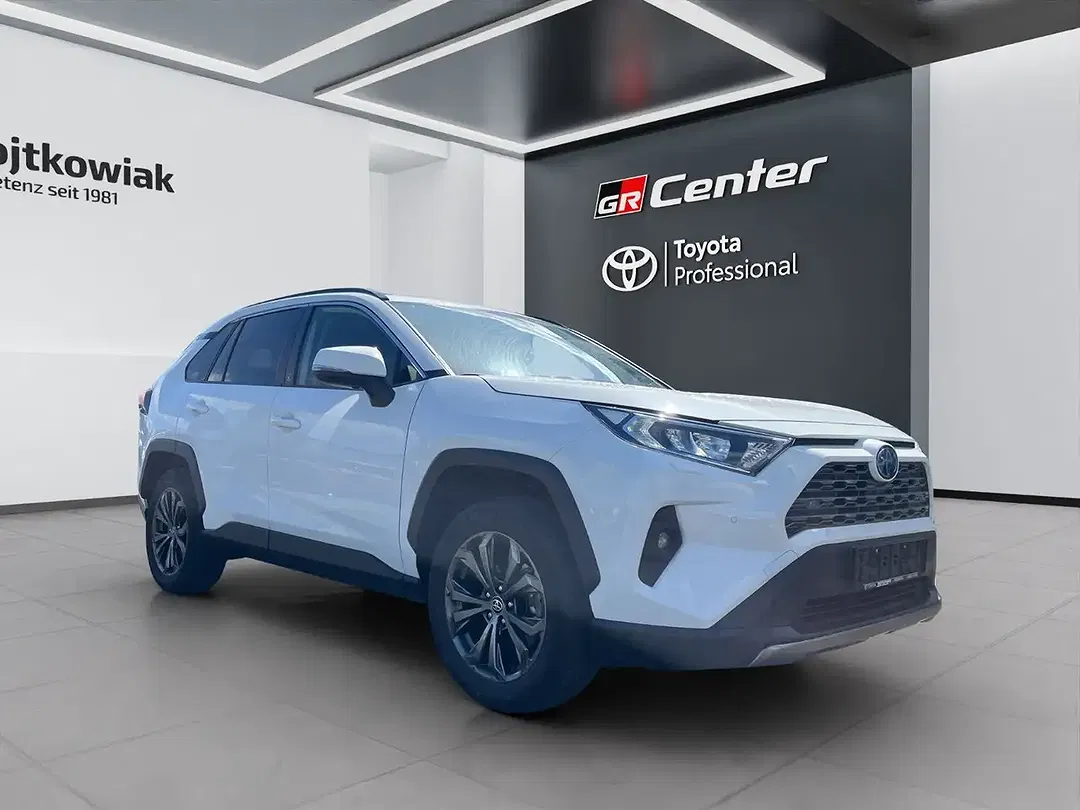 Toyota RAV 4 Hybrid Team Deutschland - Thumbnail 5