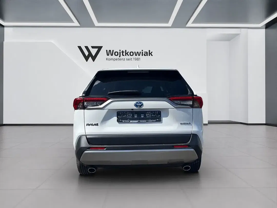Toyota RAV 4 Hybrid Team Deutschland - Thumbnail 8