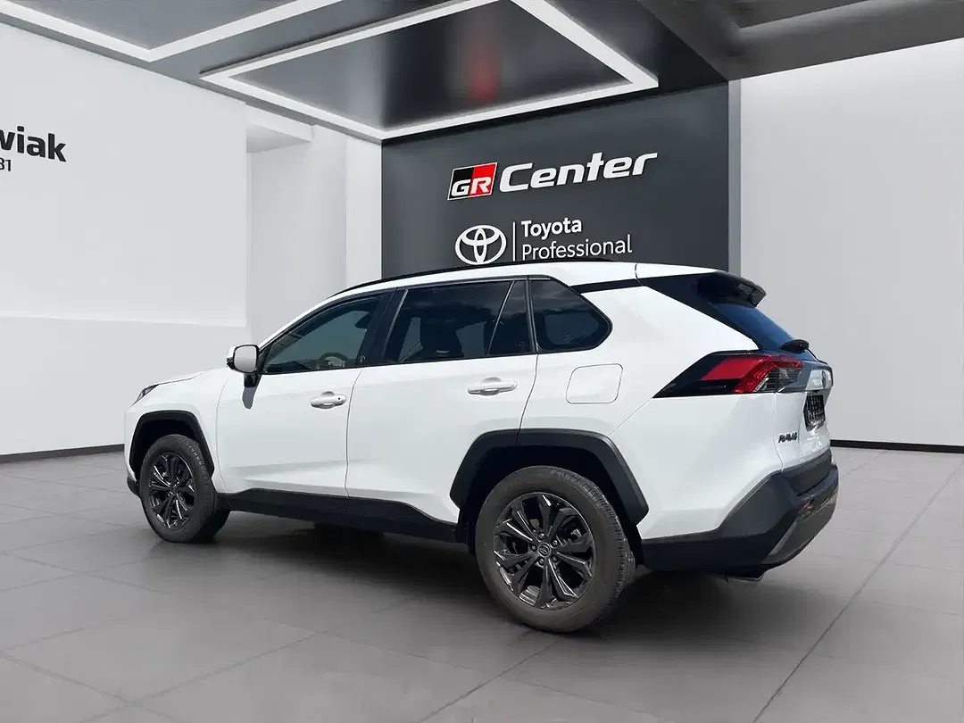 Toyota RAV 4 Hybrid Team Deutschland - Thumbnail 9