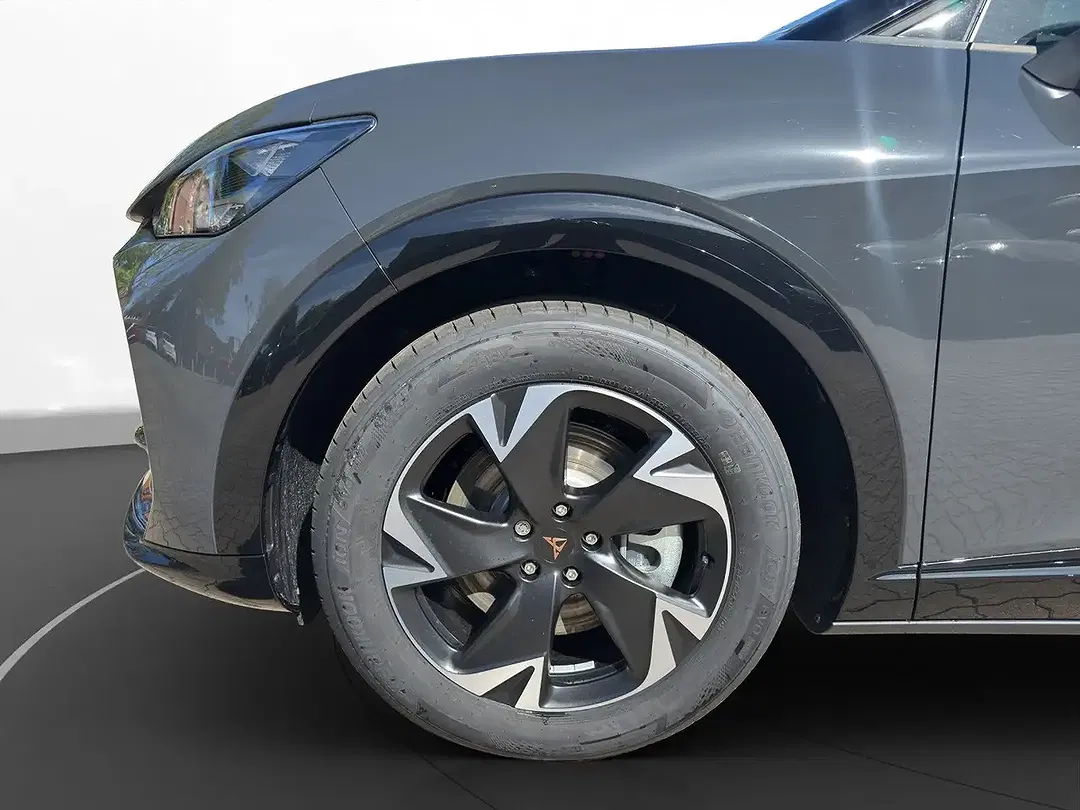 CUPRA Tavascan Endurance - Thumbnail 11