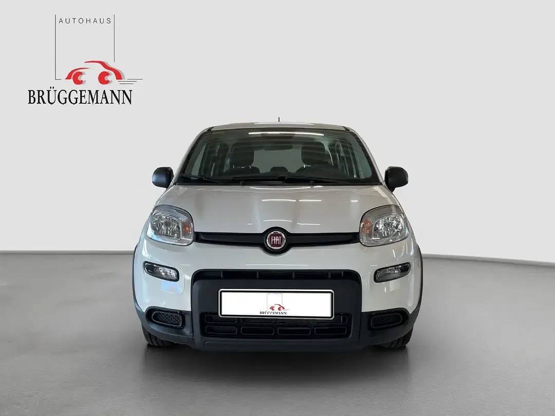 Fiat Panda 1.0 Hybrid GSE - foto 2