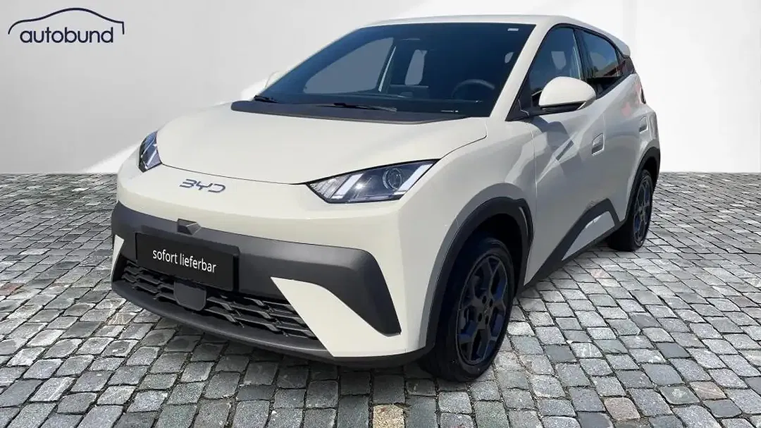 BYD Dolphin Surf Boost - foto 1