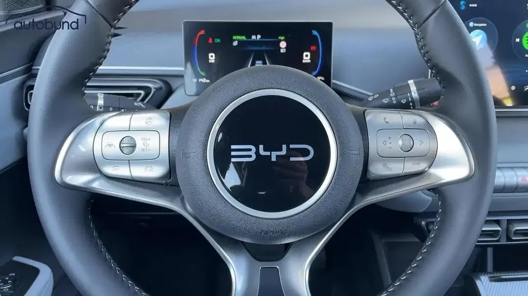 BYD Dolphin Surf Boost - Thumbnail 10