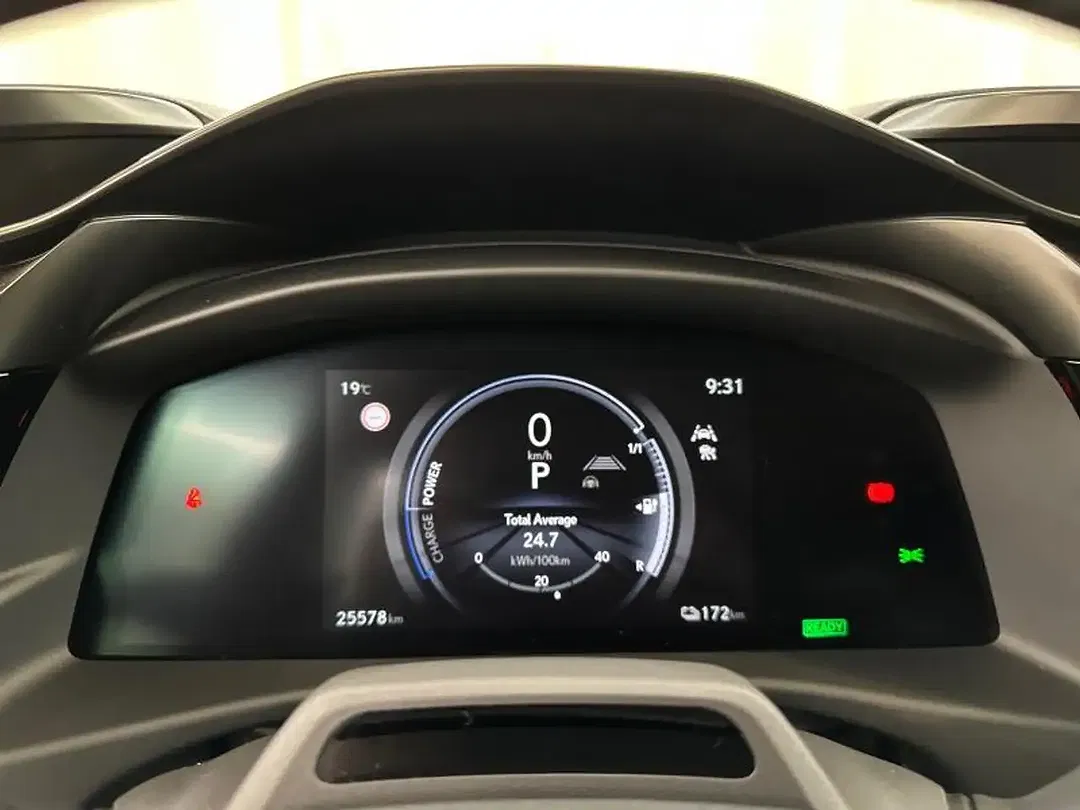 Lexus RZ 4x4 - Thumbnail 12