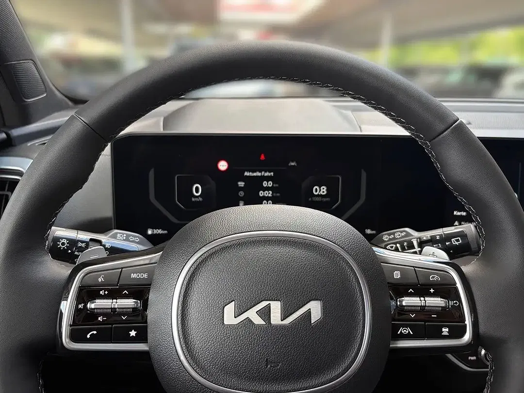 Kia Sorento 2.2 CRDi Platinum - Thumbnail 9