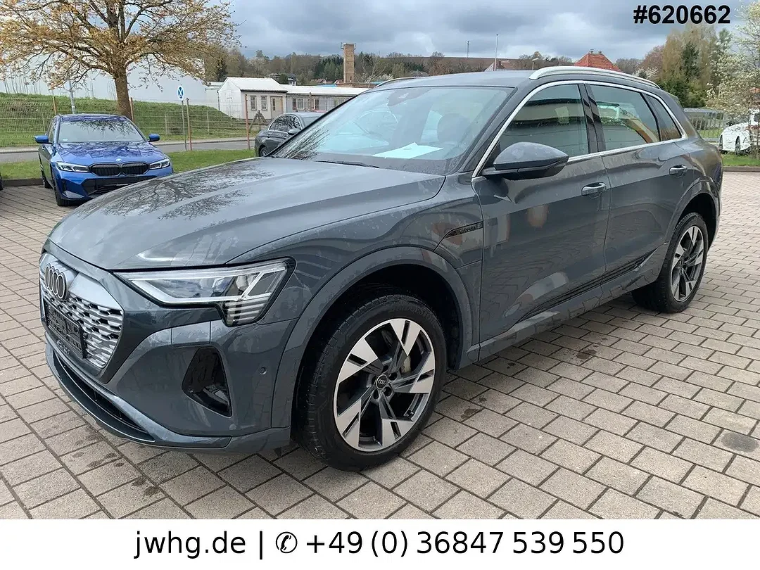 Audi Q8 e-tron Matrix LED S line - Afbeelding 1