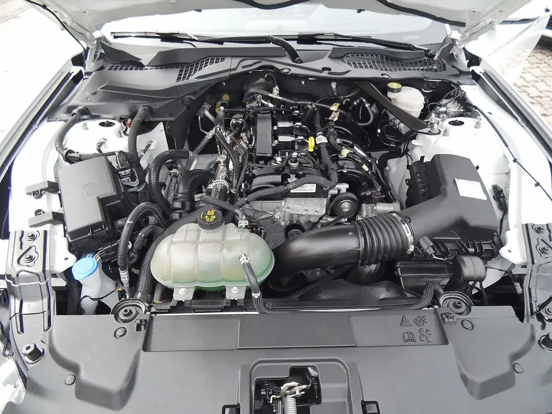 Ford Mustang - foto 17
