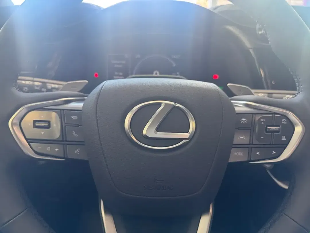 Lexus RZ 300e Comfort Line - Thumbnail 12